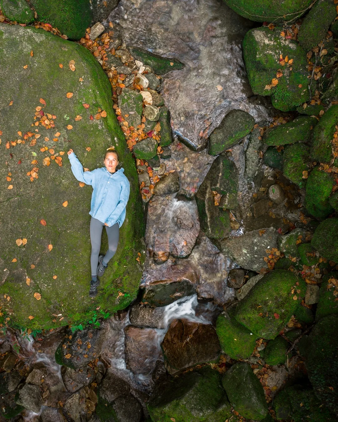 Crew on the moss-covered forest path, Yakushima
